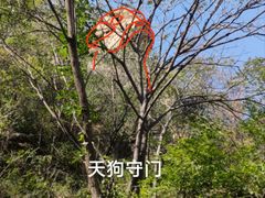 -大岭沟猕猴桃谷风景区