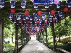 -白马涧龙池景区