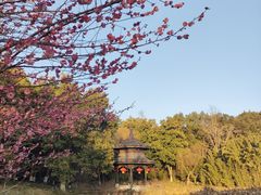 -天目湖山水园