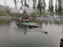 -团结湖公园