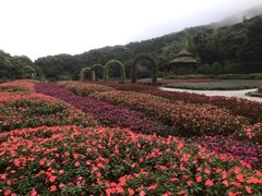 -广州市石门国家森林公园