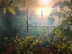 -上海大自然野生昆虫馆(东方明珠·爬宠昆虫探索中心)