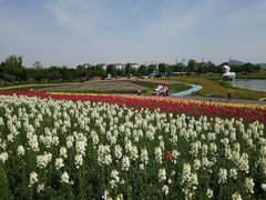 -径山花海