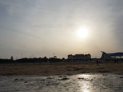 -日照海滨国家森林公园