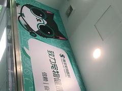-瑞派先诺宠物医院•猫专科•普外科•中兽医(佛山院)