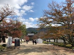 -醍醐寺