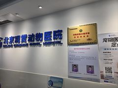 -北京观赏动物医院·24小时大型综合·猫专科·异宠专科