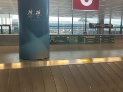 -米兰-马尔彭萨机场