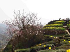 -石潭村