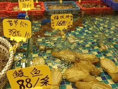 -厦门轮渡码头