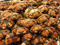 -上海新发展亚太JW万豪酒店