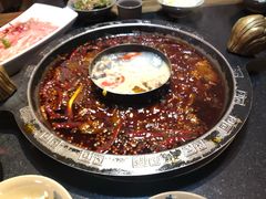 -渝大狮毛肚老火锅(普陀店)