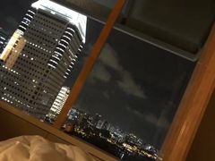 -新加坡丽思卡尔顿美年酒店