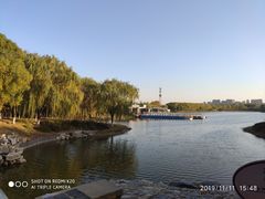 -大兴滨河森林公园