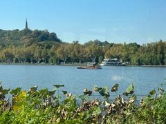 -湖畔居茶楼(湖滨店)