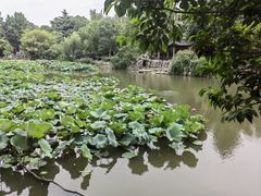 -郑和公园