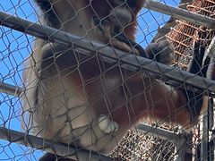 -哈尔滨北方森林动物园