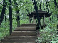 -长春净月潭风景名胜区