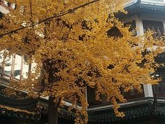 -上海梨膏糖商店(豫园商城店)