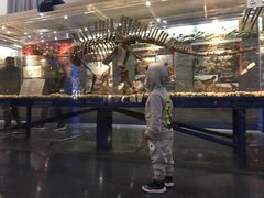 -国家自然博物馆