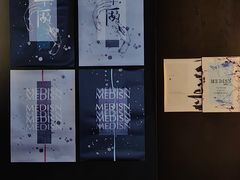 -MEDISN·药厂