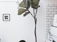 -Onirii Coffee(长乐路店)