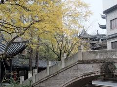 -龙潭水乡