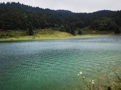 -武陵山森林公园