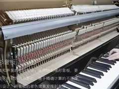 -秦川乐器(河西店)