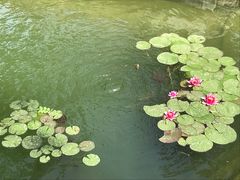 -春风习习
