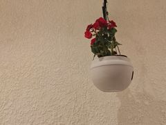 -东方明珠老上海8号餐厅(东方明珠广播电视塔店)