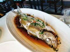招牌清蒸钱塘江白条-柳莺湖上·湖景餐厅·江南菜(西湖店)