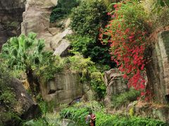 -广州莲花山旅游区
