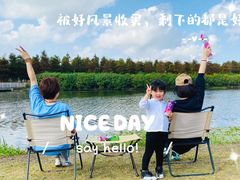 -春花秋色城市公园