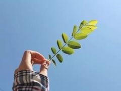 -呷哺呷哺(松江开元店)