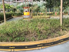 -南宫五洲植物乐园
