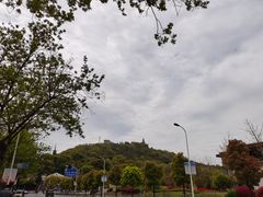 -上海佘山国家森林公园西佘山园