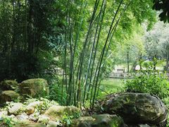 -人民公园(罗湖区)