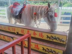 -百万葵园