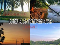 -宝安西湾红树林湿地公园