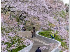 -杭州少年儿童公园