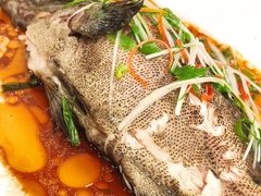 -上海安亭别墅花园酒店