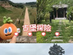 -函谷关历史文化旅游区