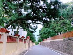 -八大关景区