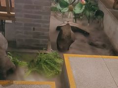 -紫腾大院·南京菜(江宁店)