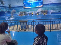 -多彩贵州城极地海洋世界