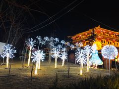 -金城公园