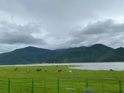 -纳帕海依拉草原