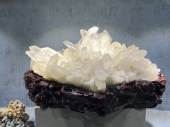 -河南自然博物馆