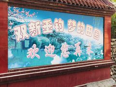-双新垂钓园